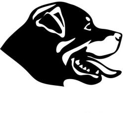  Rottweiler matrica 9