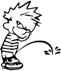  Kevin pisil autómatrica