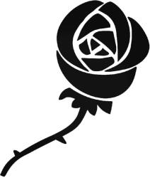  Rózsa "3" Autómatrica