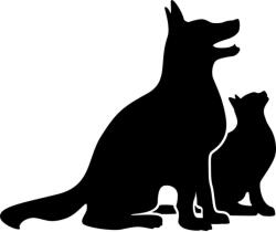  Kutya és macska matrica barátság