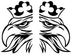  SCANIA matrica ajtóra 60x35 cm