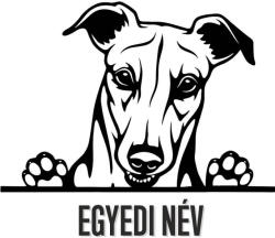  Egyedi neves Agár matrica