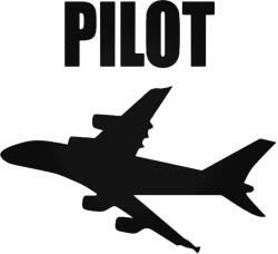 Repülőgép pilóta Autómatrica