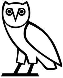  Figyelgető bagoly matrica