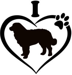  Berni pásztor matrica 5