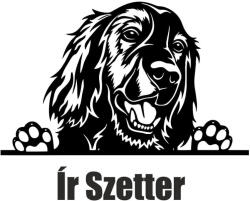  Ír szetter matrica 2