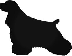  Cocker Spániel matrica