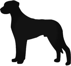  Afrikai oroszlánkutya matrica