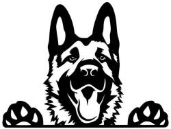  Németjuhász matrica 24