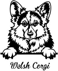  Welsh Corgi matrica 4