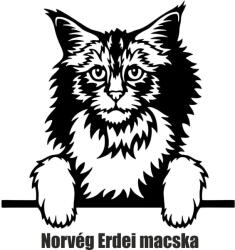  Norvég erdei macska matrica