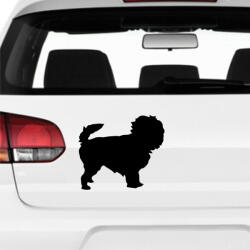  Affen pincser bébi matrica