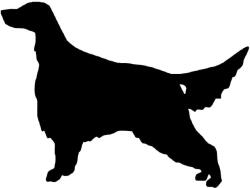  Ír szetter matrica 3