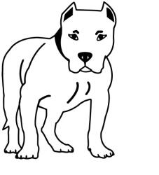  Amstaff matrica 5