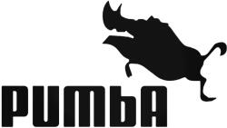  Timon és Pumba Puma Autómatrica