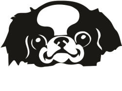  Japán csin matrica 4