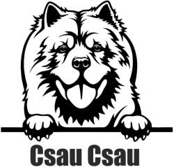  Csau Csau matrica 1