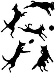  Belga juhászkutya matrica szett