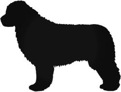  Újfullandi Kutya matrica