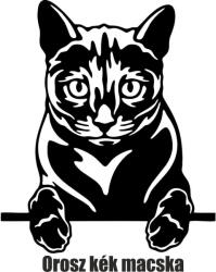  Orosz kék macska matrica