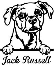  Jack russel matrica 12