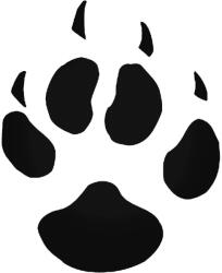  Macskatappancs matrica