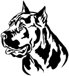  Cane corso matrica 30 cm