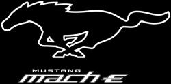  Ford Mustang Mach-E matrica