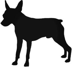  Mini pincser kutya matrica