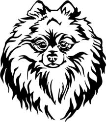  Pomerániai törpespicc matrica 2