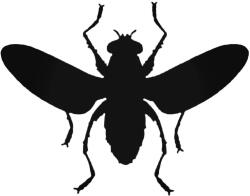  Repülő légy matrica