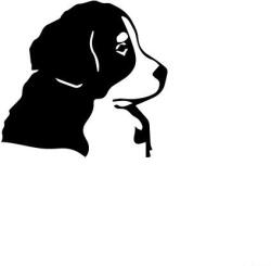  Berni pásztor matrica 4