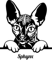  Szfinx macska matrica