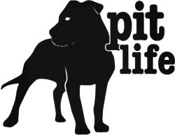  Pit Life "1" matrica