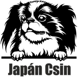  Japán csin matrica 8