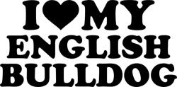  Angol bulldog matrica 21