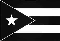  Puerto Rico zászló Autómatrica