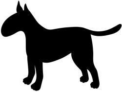  Bullterrier matrica 11