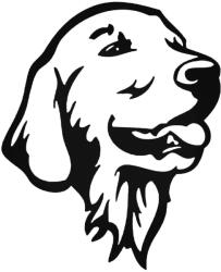  Golden Retriever Birodalom matrica