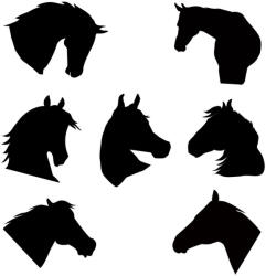  Lófej szett matrica (30 cm)