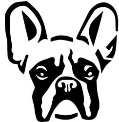  Francia bulldog matrica 2