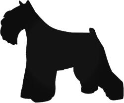  Mini Schnauzer kutya matrica