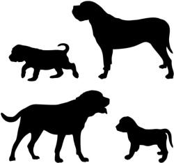  Angol masztiff szett