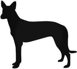  Fáraó Kutya matrica