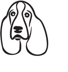  Basset hound matrica 3