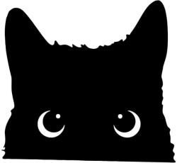  Figyelő macska matrica 1