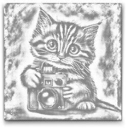  PontPöttyöző - Kiscica fényképezőgéppel 2 Méret: 50x50cm, Keretezés: Kartonlemezen, Szín: Kék