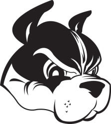  Boston terrier matrica 13