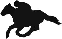  Vágtató ló matrica