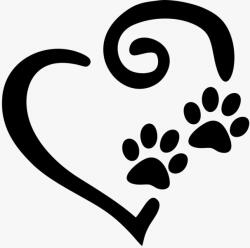  Border collie matrica 2